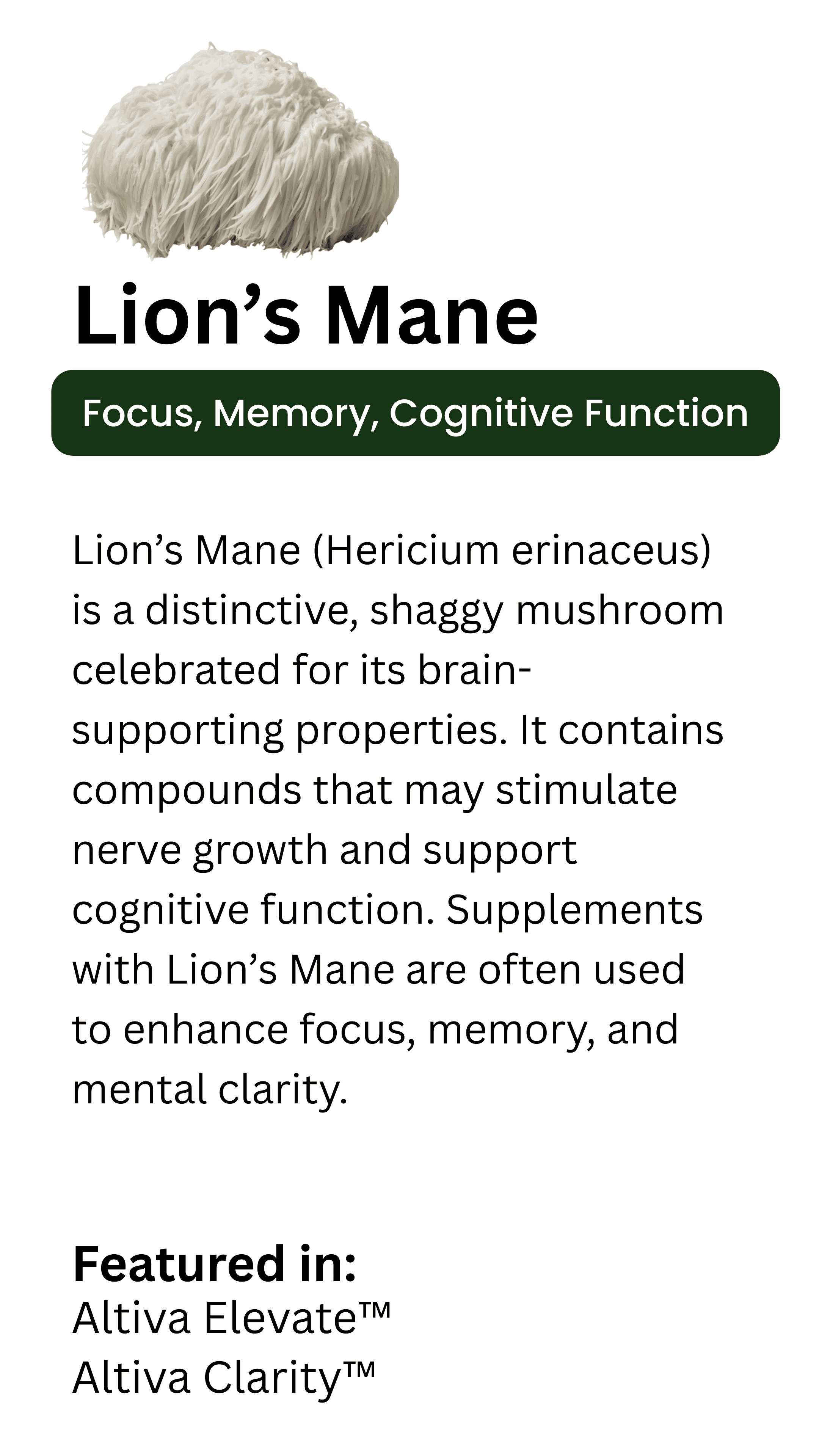 Lion’s Mane Mushroom Card Highlighting Focus, Memory, and Cognitive Function Benefits in Altiva Mushroom Supplements