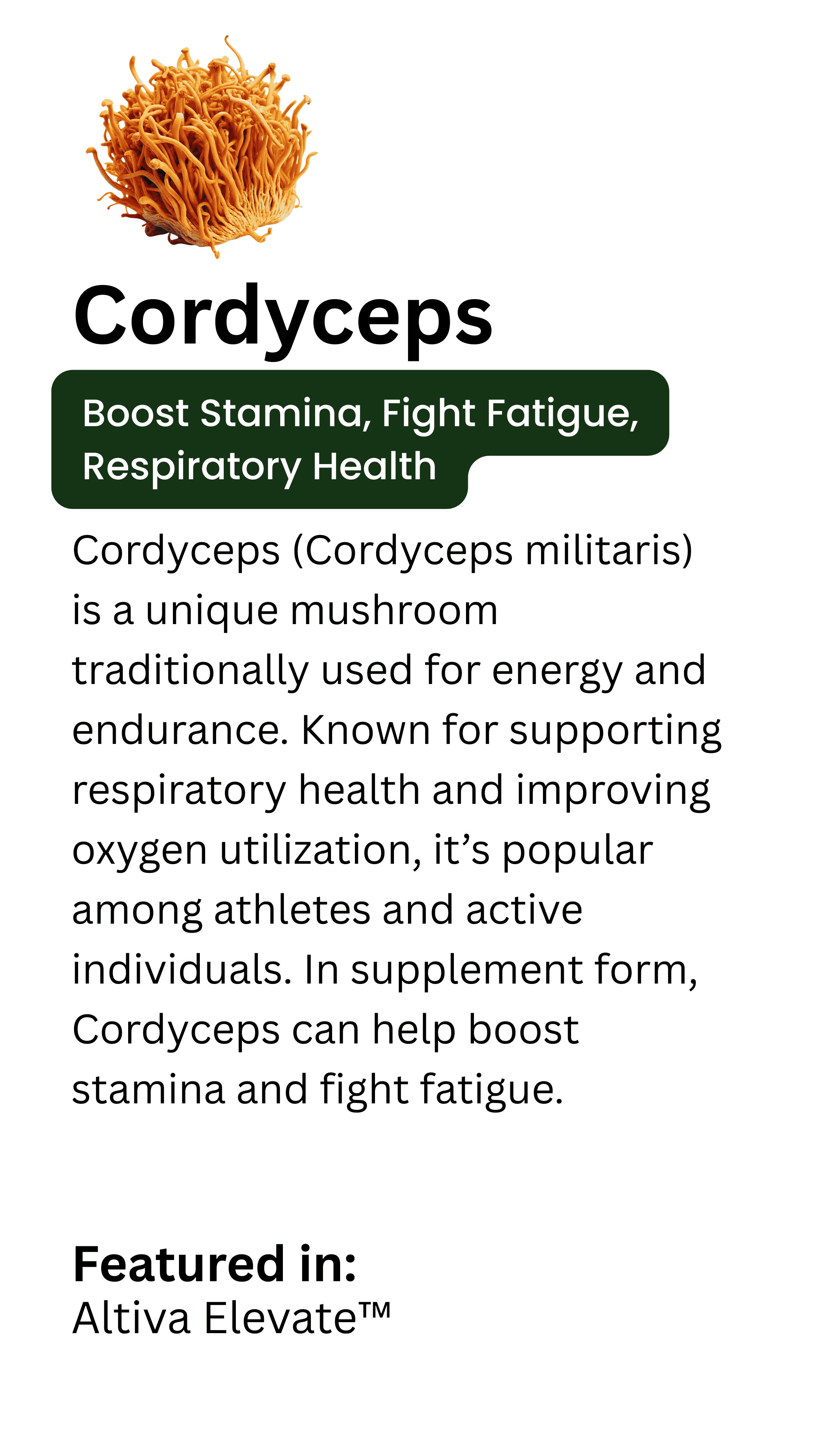 Cordyceps Mushroom Card Highlighting Stamina, Fatigue Reduction, and Respiratory Health Benefits in Altiva Mushroom Complex